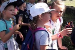 eduk.wcz.3