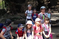 eduk15