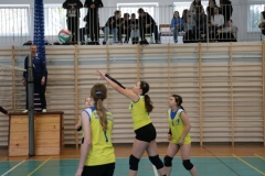 316a3b9d-7ea2-4aaa-a73a-736d35f30755